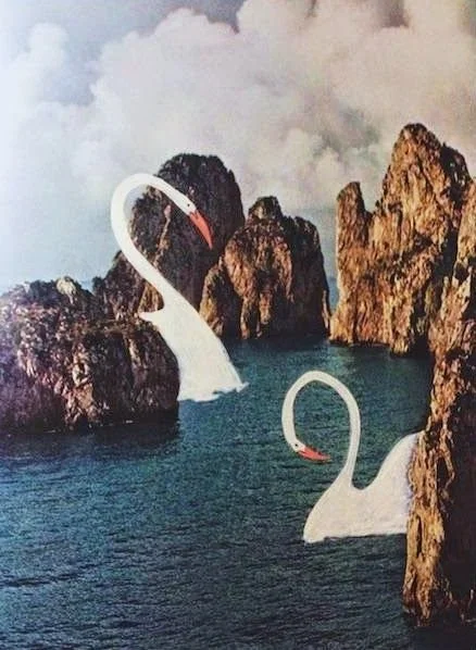 the art room plant.jpeg