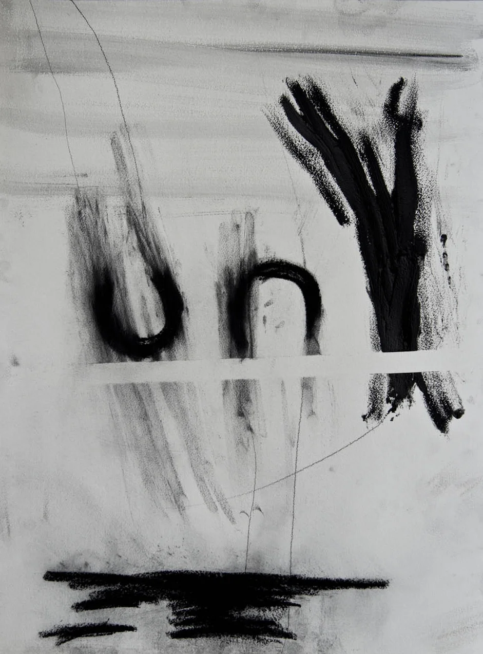Graphite, charcoal, acrylic paint on paper 77 x 57cm