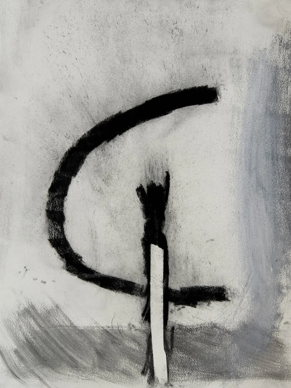 Graphite, charcoal, acrylic paint on paper 77 x 57cm