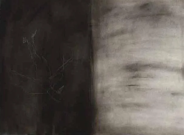 Charcoal, mixed media on paper 77 x 97cm