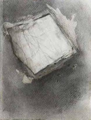 Charcoal, mixed media on paper 40 x 36cm