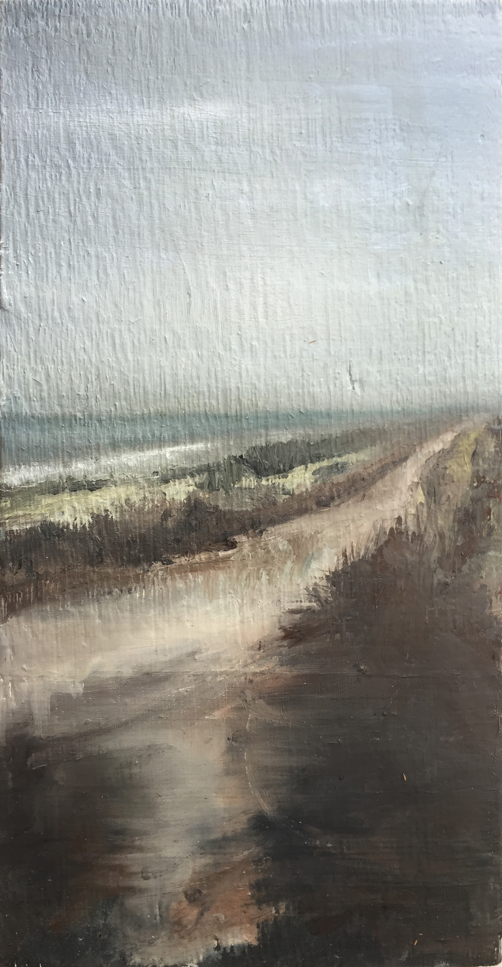 Cailtin Reilly 20.5 x 40.5cm.JPG