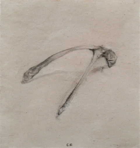 Lead pencil on hand made paper 18 x 18cm