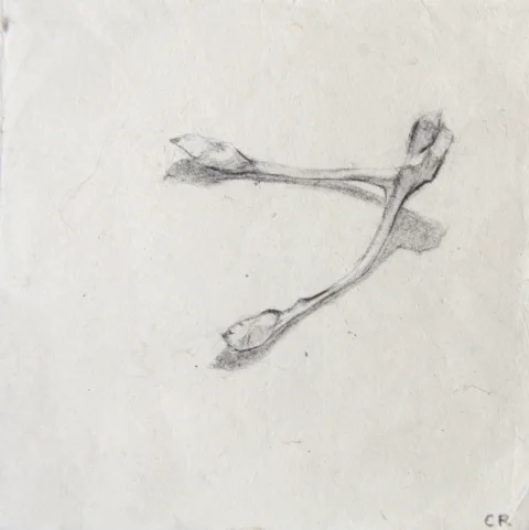 Lead pencil on hand made paper 18 x 18cm