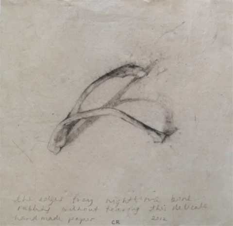 Lead pencil on hand made paper 18 x 18cm