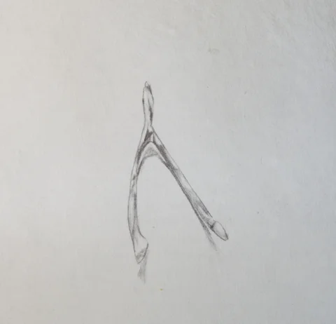 Lead pencil on hand made paper 18 x 18cm