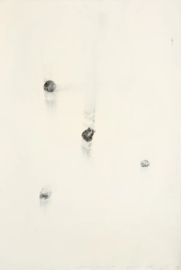  Catching Rain #2  Graphite Charcoal Acrylic Paper  80cm x 60cm  2018 