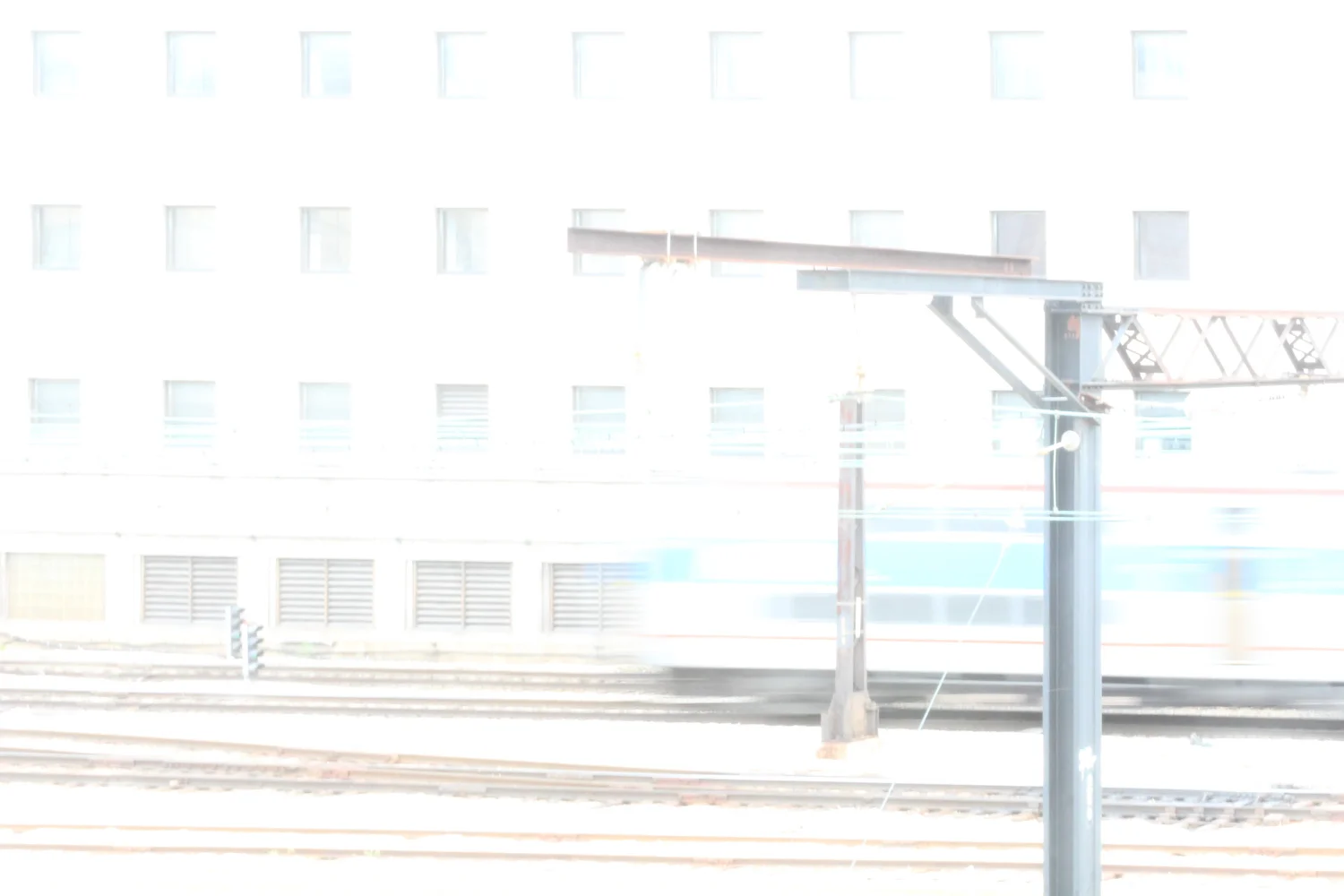 Latest addition3.jpg