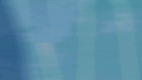 giphy6.gif
