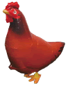 s_chicken.gif