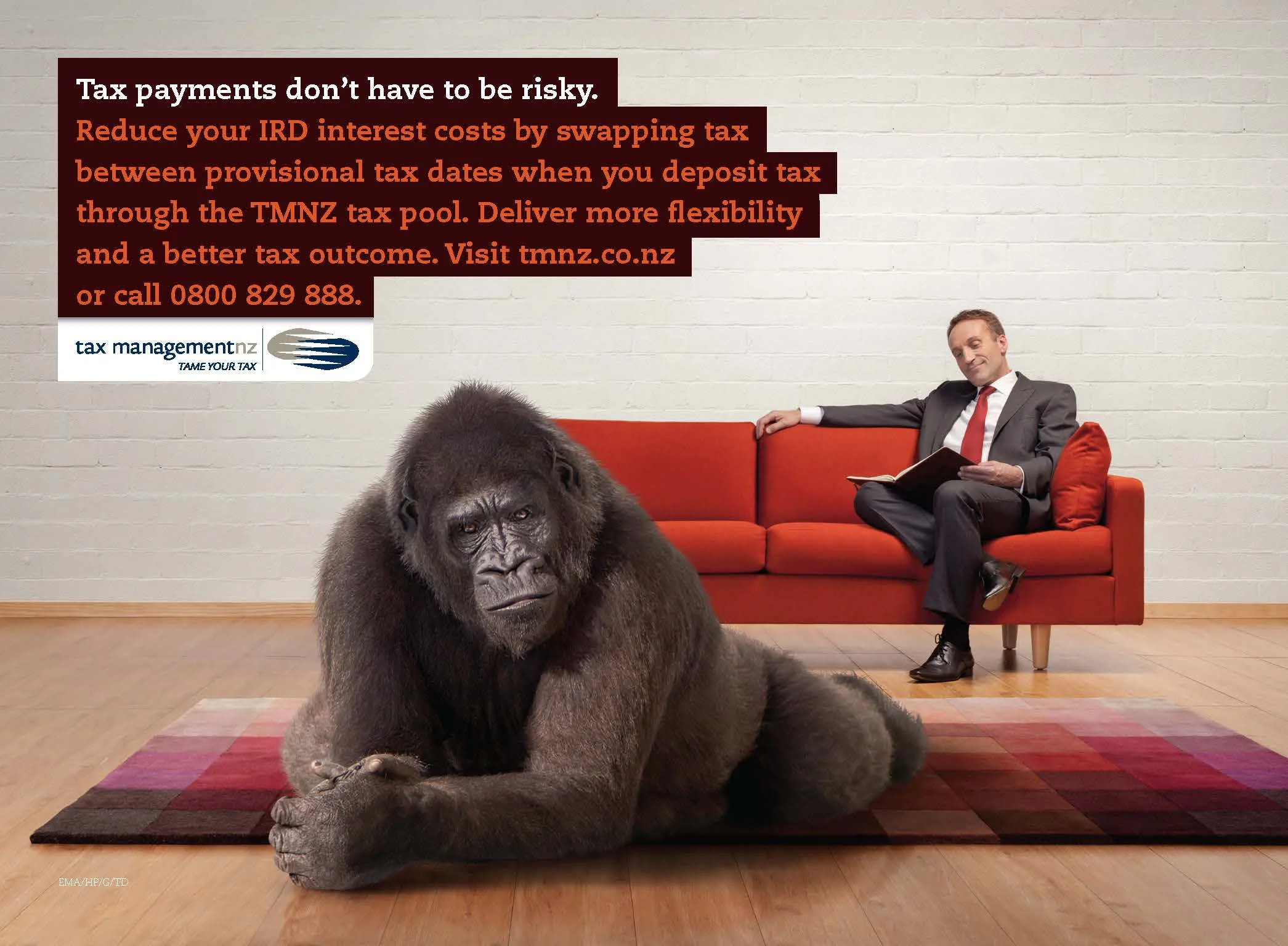 tmnz - tame your tax magazine campaign