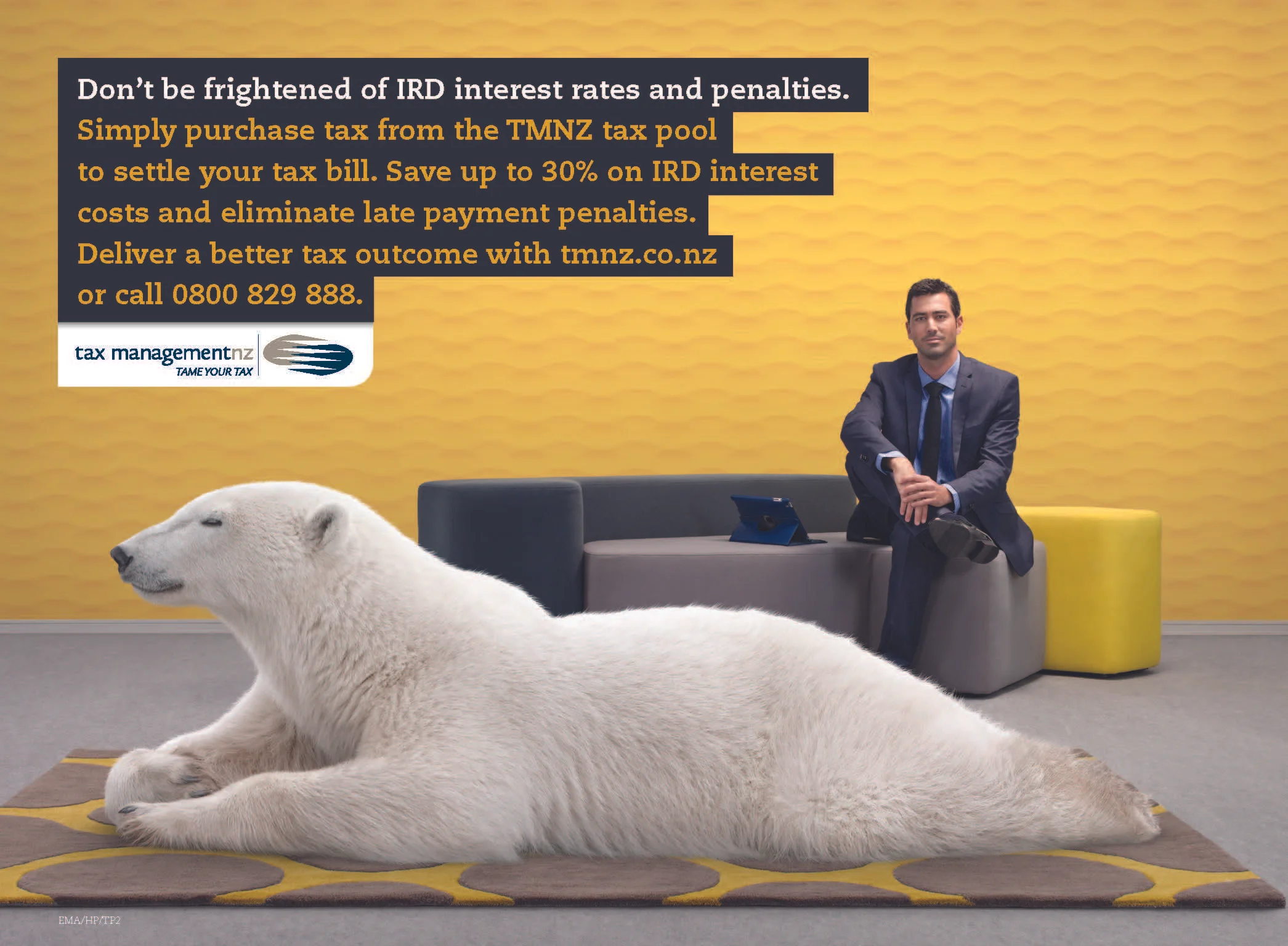 tmnz - tame your tax magazine campaign