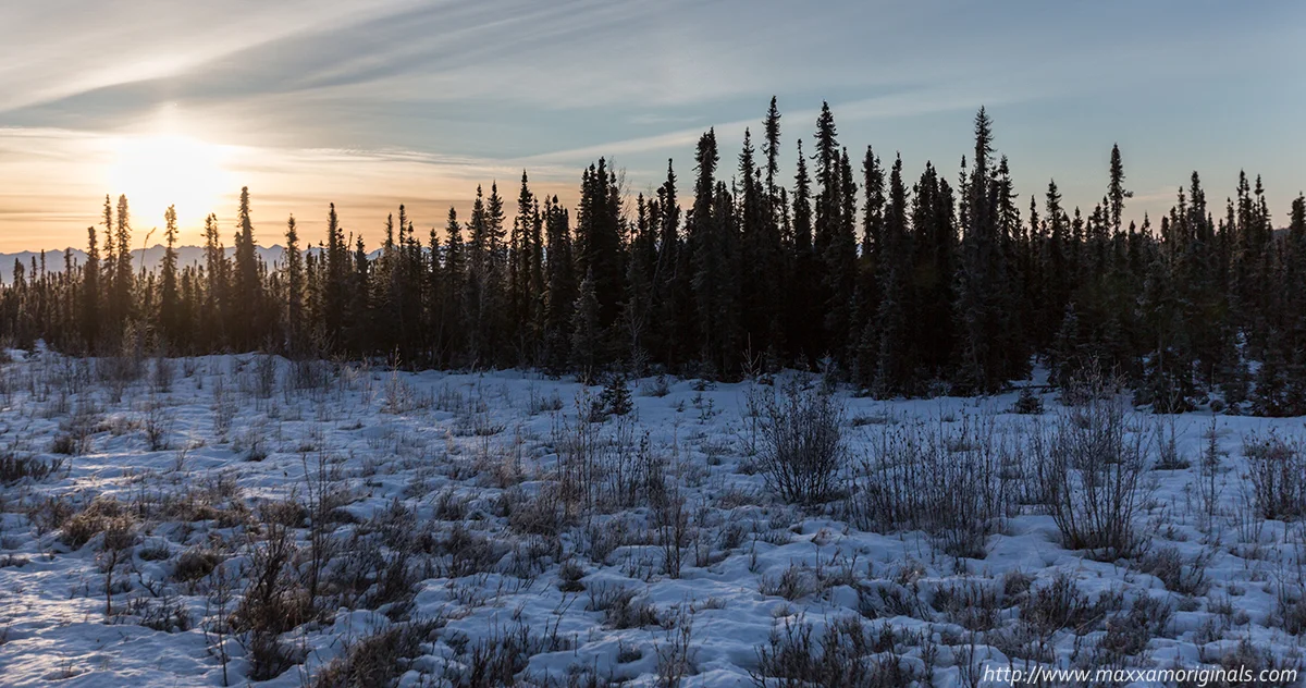 Sunrise from the Alaska Railroad