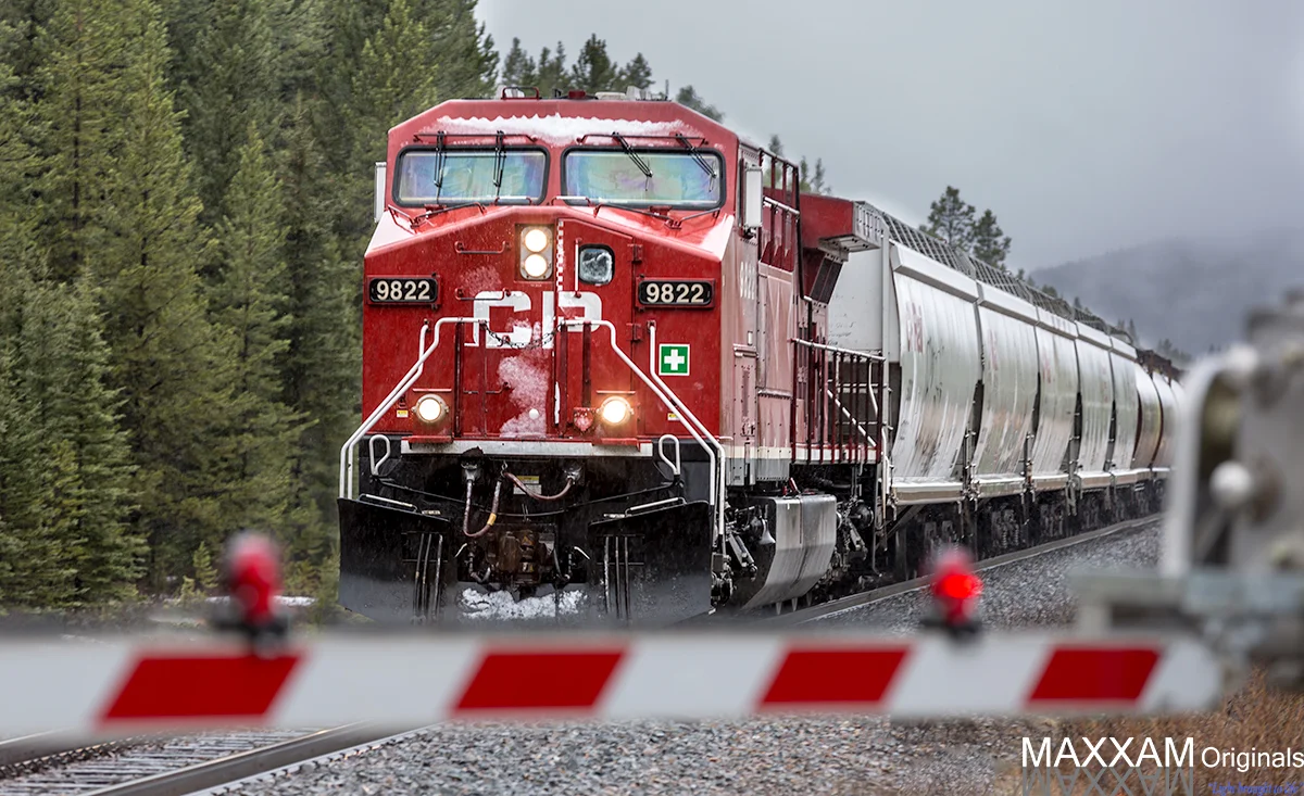A freight trains makes its way east along the Trans Canada Highway