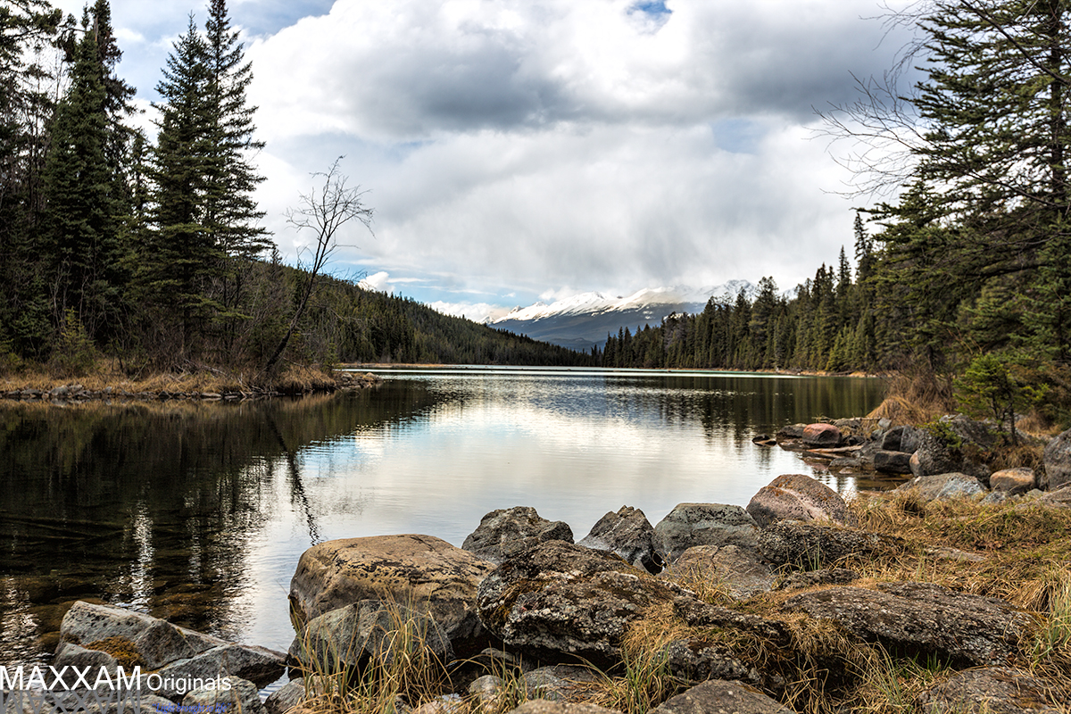 A push through thick brush rewarded me with a beautiful view of one of the 5 lakes.