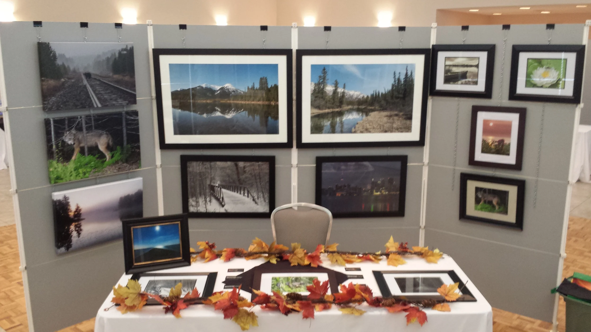 art show.jpg