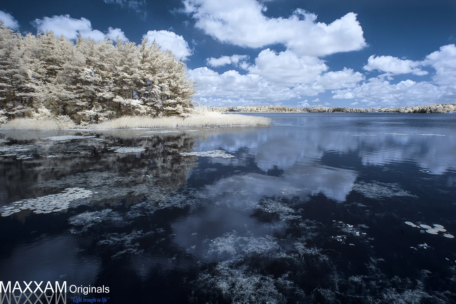 ILake-Water.jpg