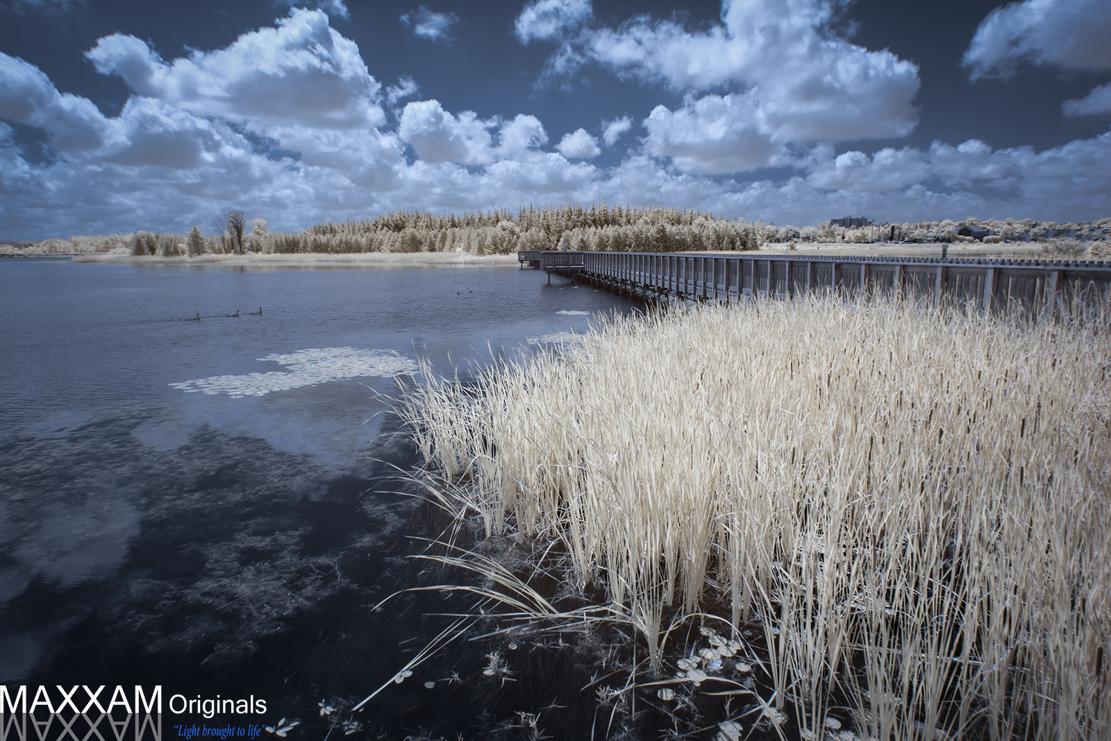 ILake-Bridge-Infrared.jpg