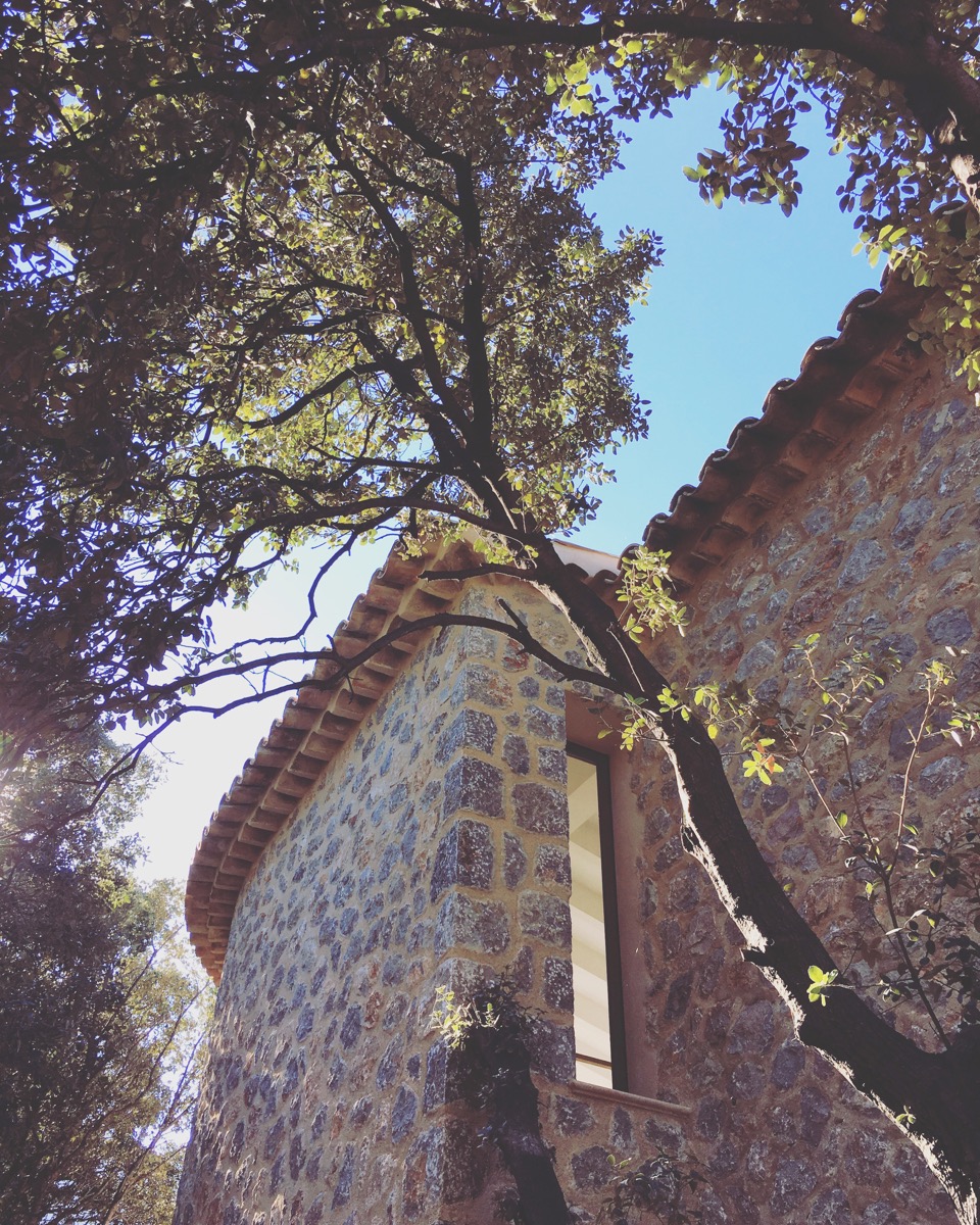 IMG_0628.jpeg
