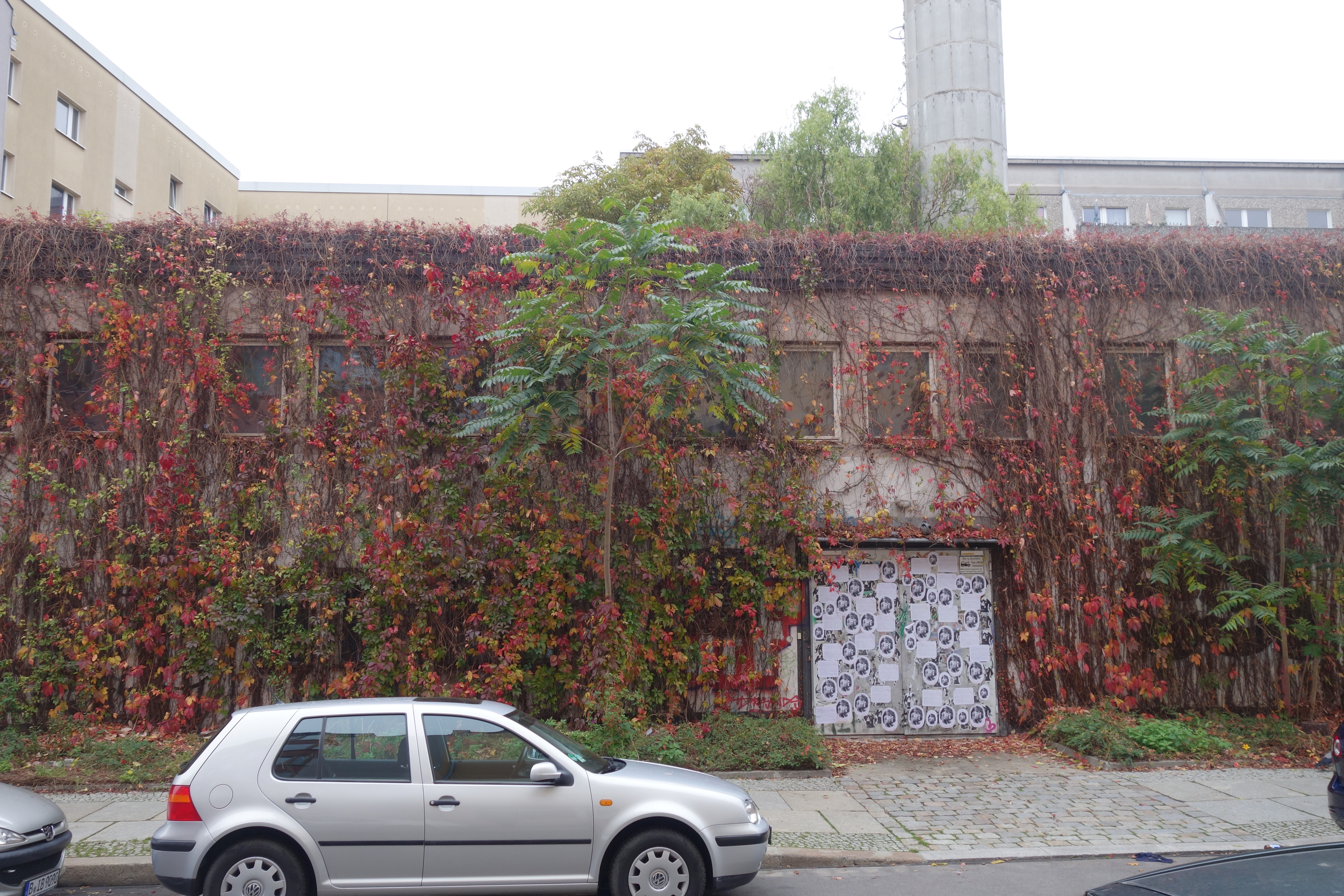 Mark spotted the old-growth vines on this Prenslauerberg squat.