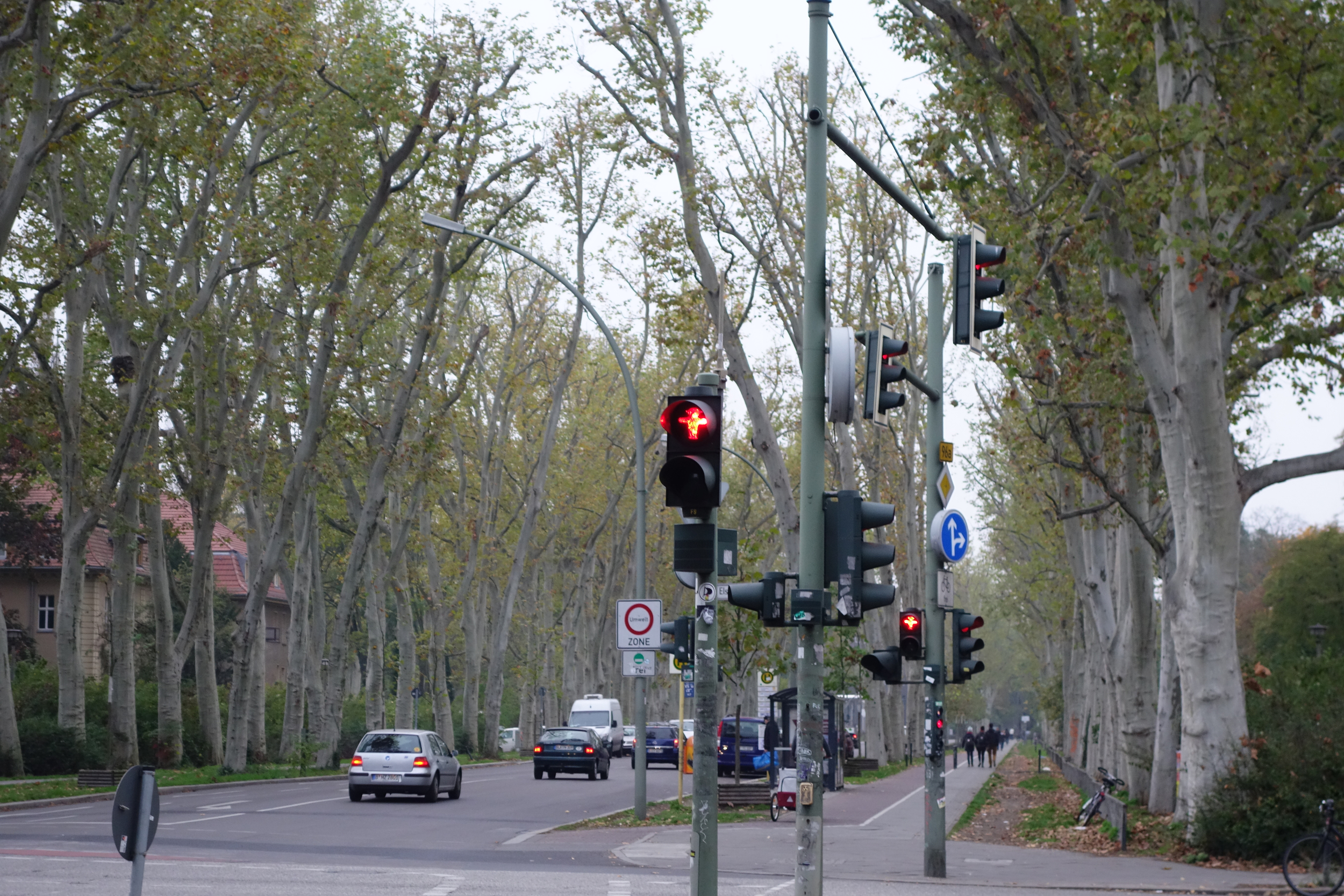  Peculiar trees in Treptow en route to Rumpsti Pumpsti. 