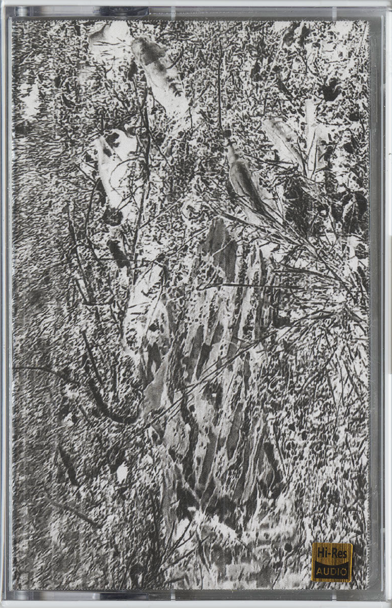 hra001cs.2a.2025.png
