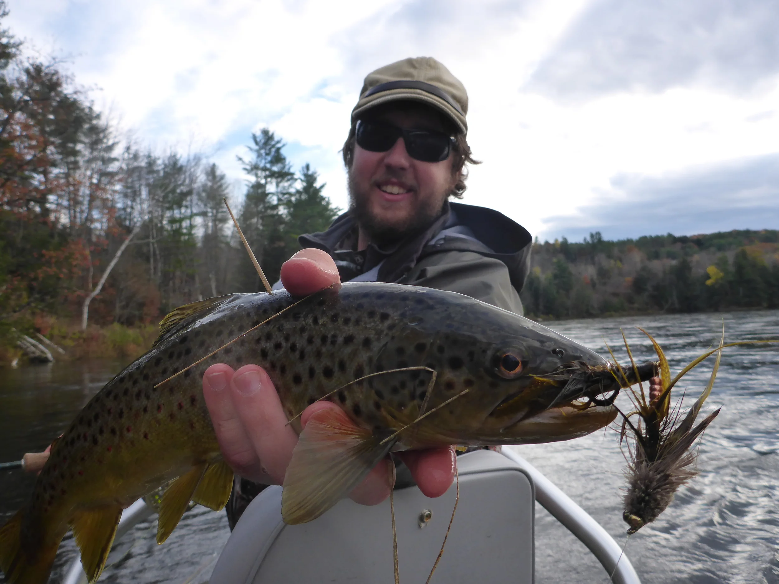 This 17" brown chased this large articulated streamer on two consecutive casts before engulfing it. Was laid up on a piece of slightly riffled water in an otherwise slow moving section.