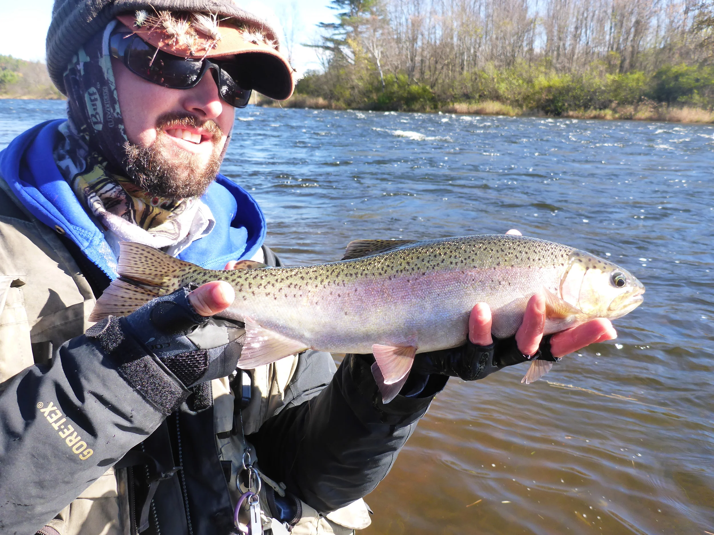 17" wild rainbow tout caught nymphing a riffle. 