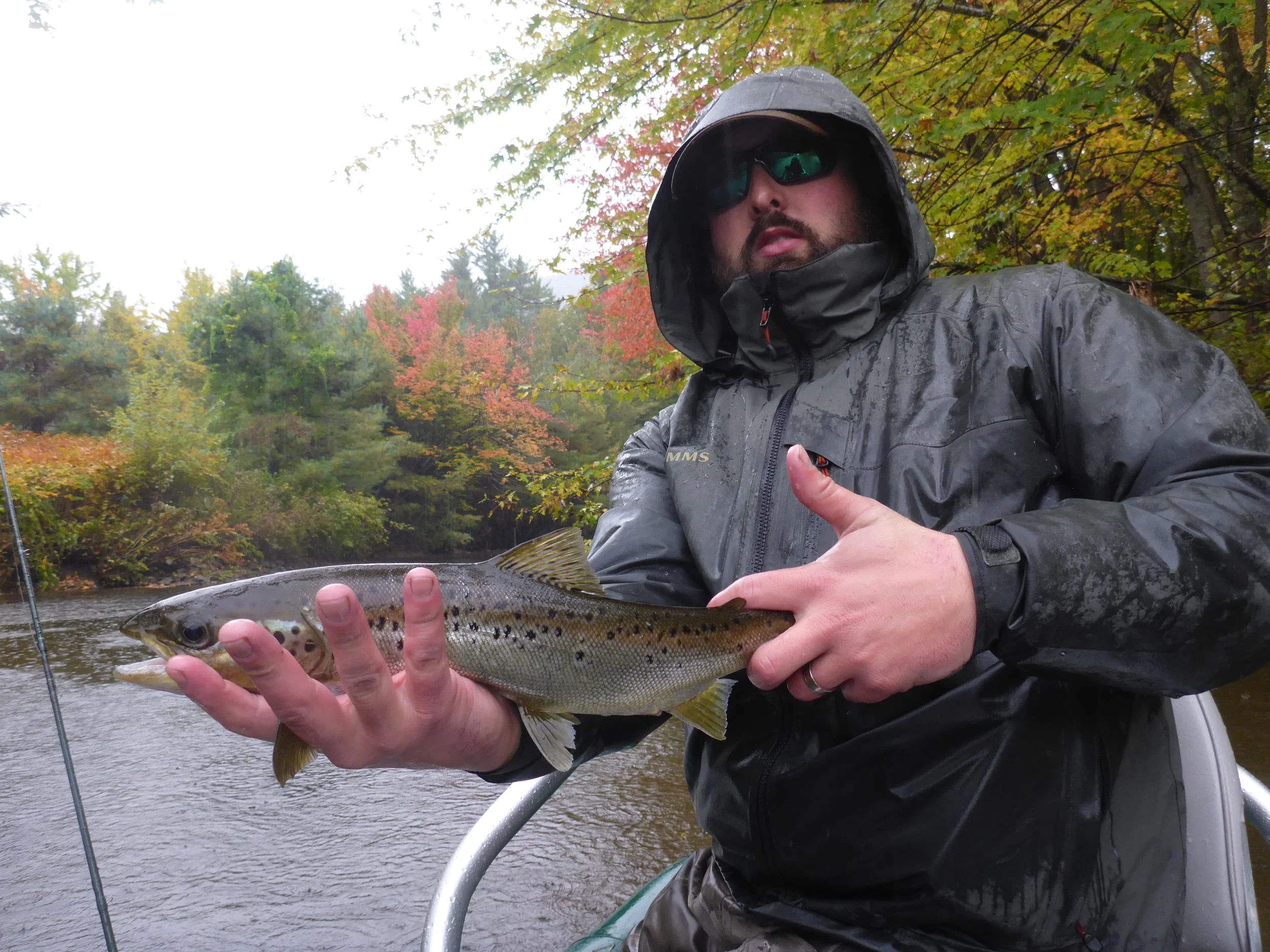 Wild Landlocked salmon...we will be exploring this water further this year!