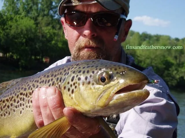 White River Brown.