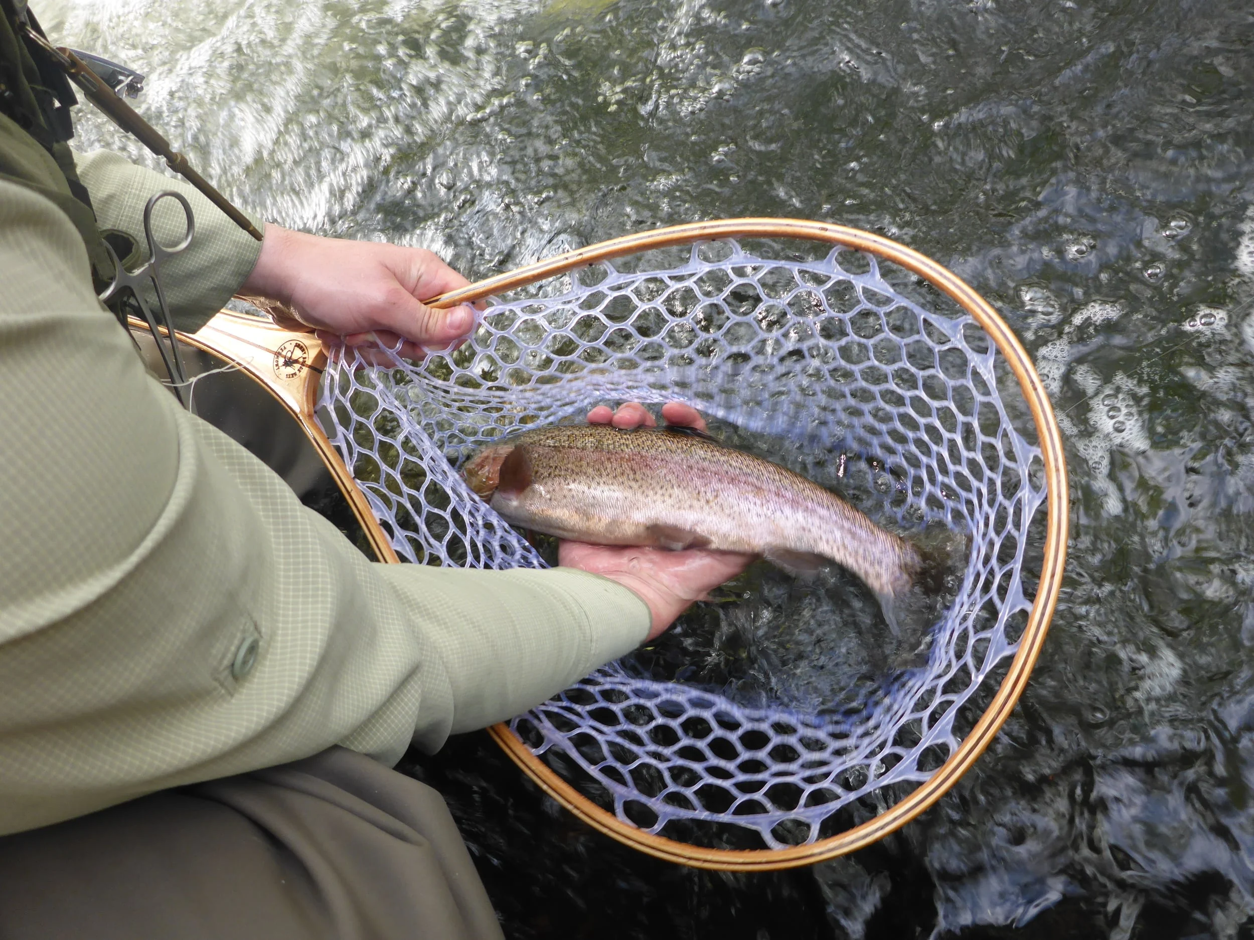 A spring lake run rainbow.