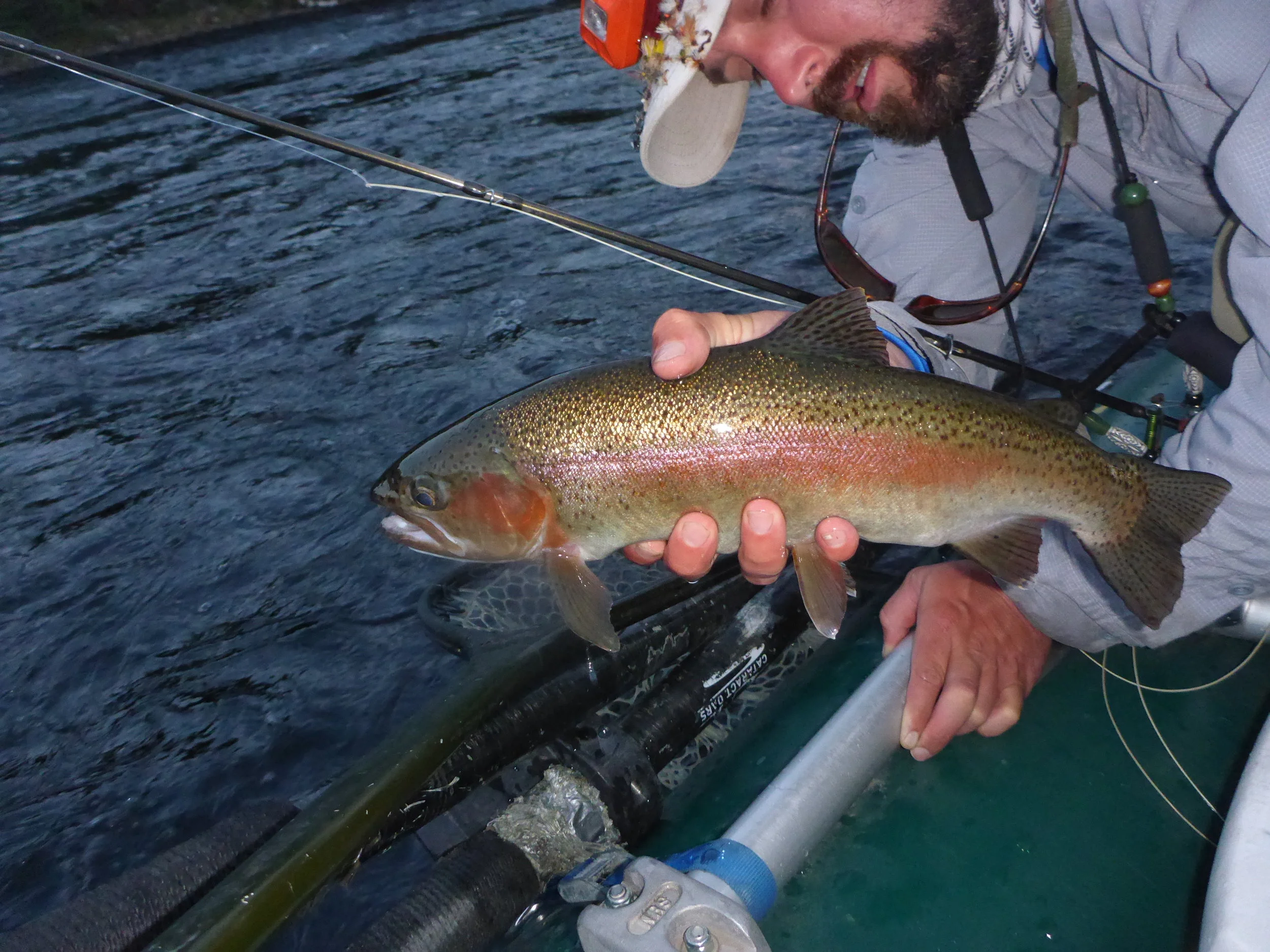A late day Isonychia eater. This fish tried for a dry and was then caught on a swinging nymph.