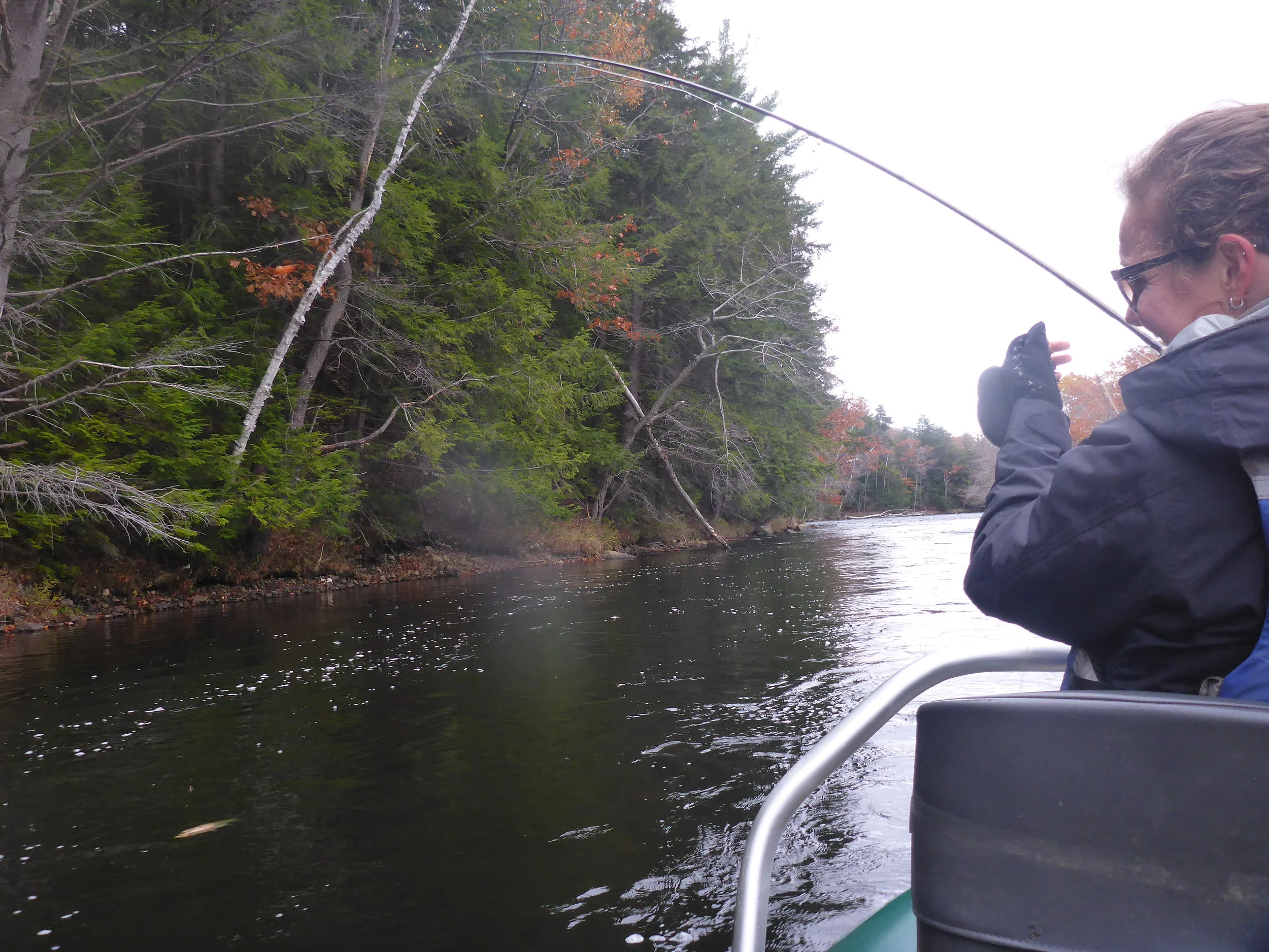 Meredith's first day fly fishing. She landed 2 on a chartreuse egg and 2 on the "Jumping Jack Flash"