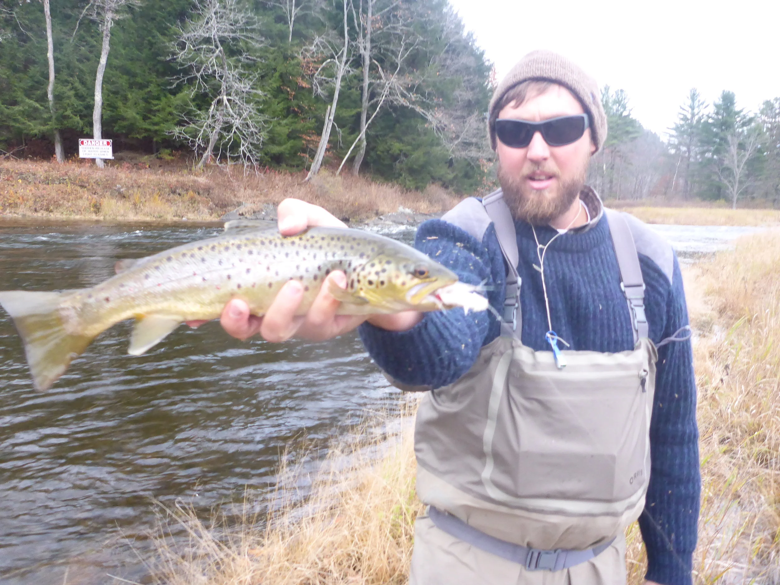 Milan with a streamer caught brown. 