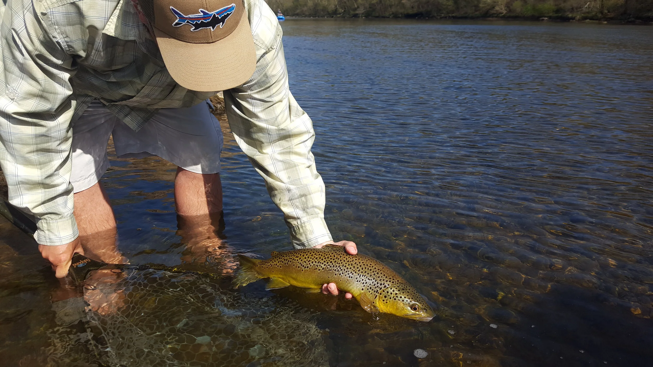Jeremy Hunt with a sunny day brown that he caught right after he said, " There is a brown trout right behind that ledge."