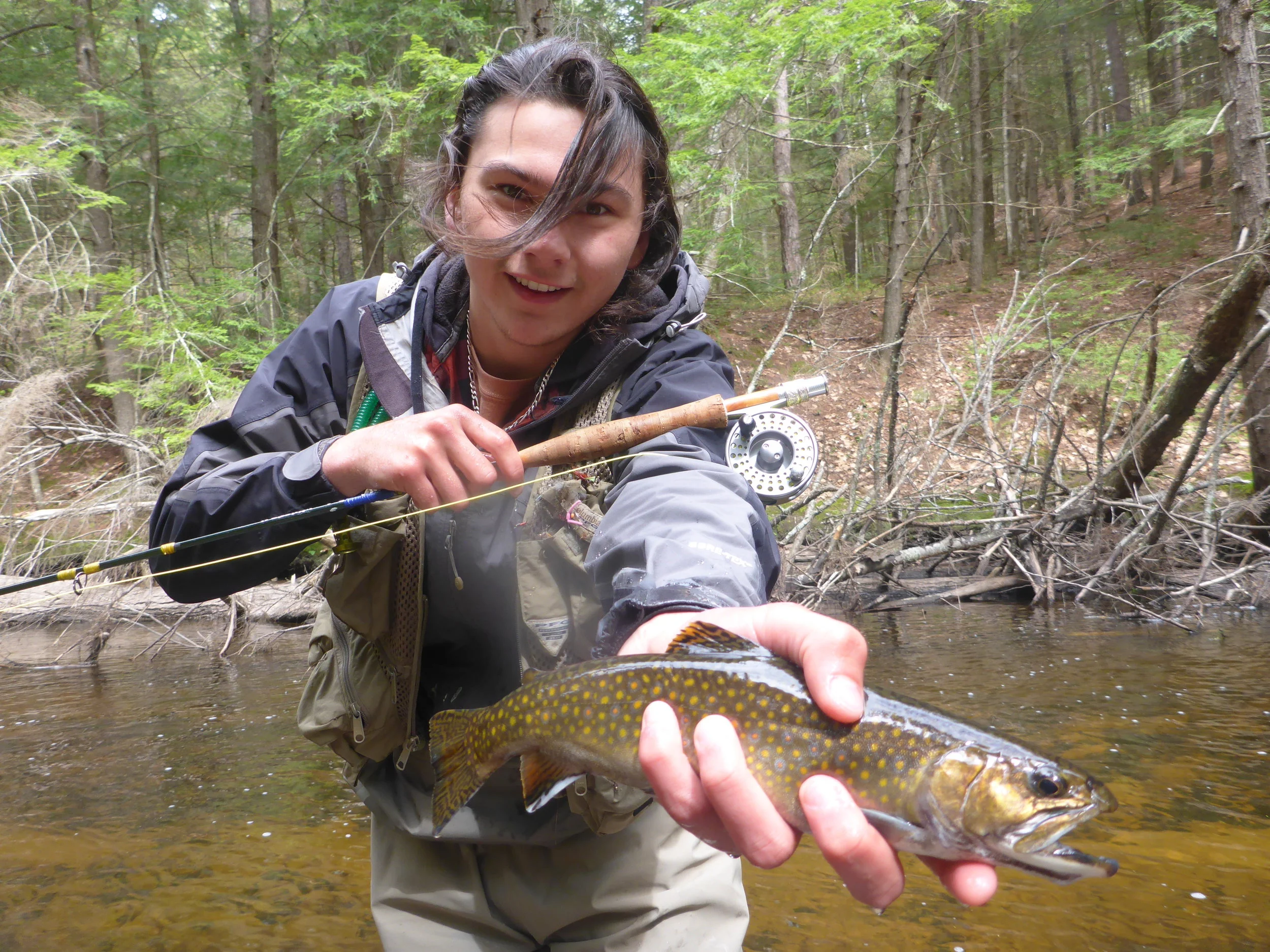Spring creek wild brook trout May 15th 2016