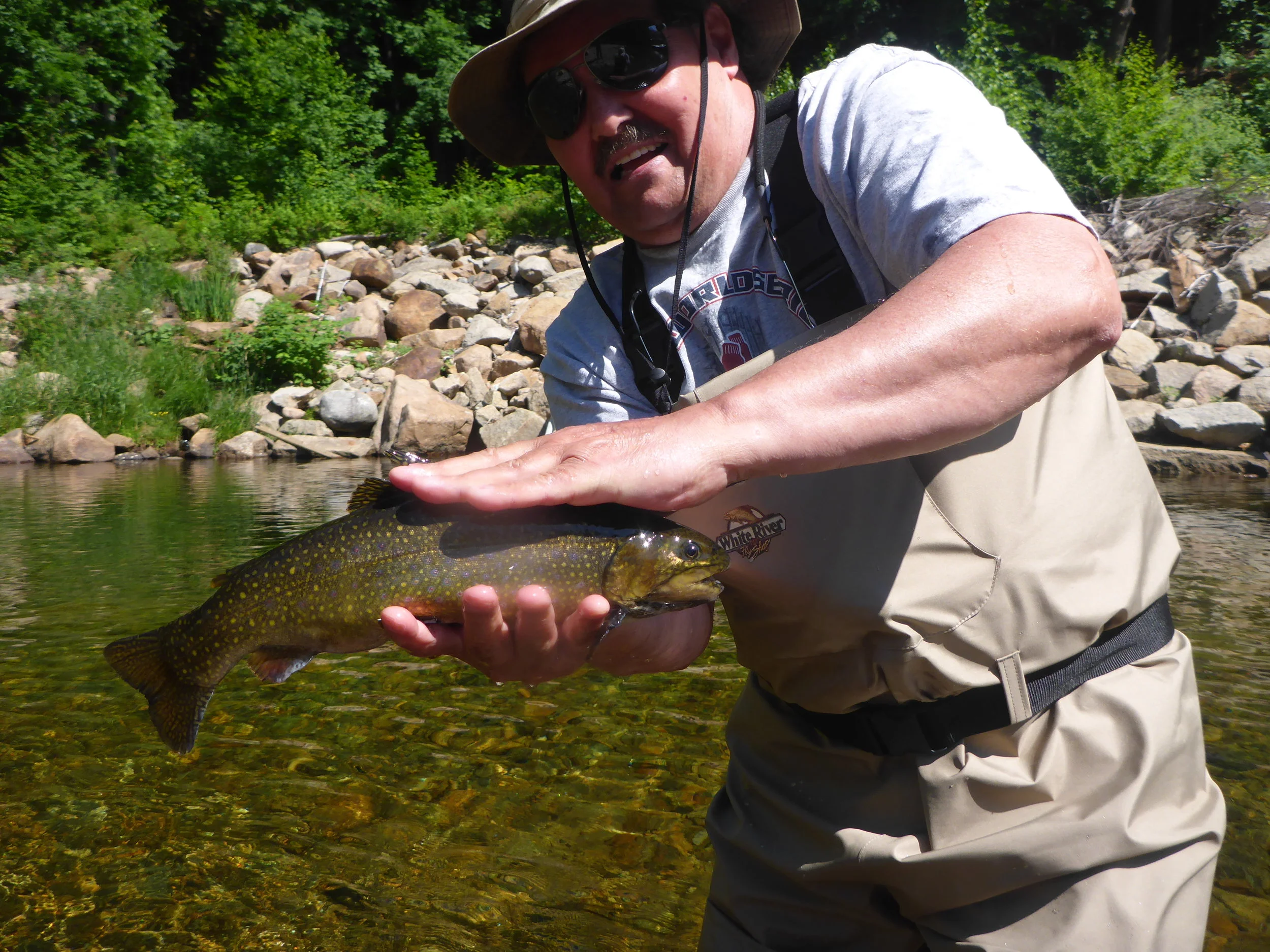 Ellis River Brook trout Late June 2016.