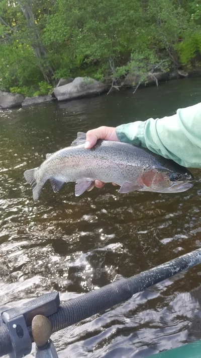 Charlie Houghton caught this guy on a stonefly nymph.