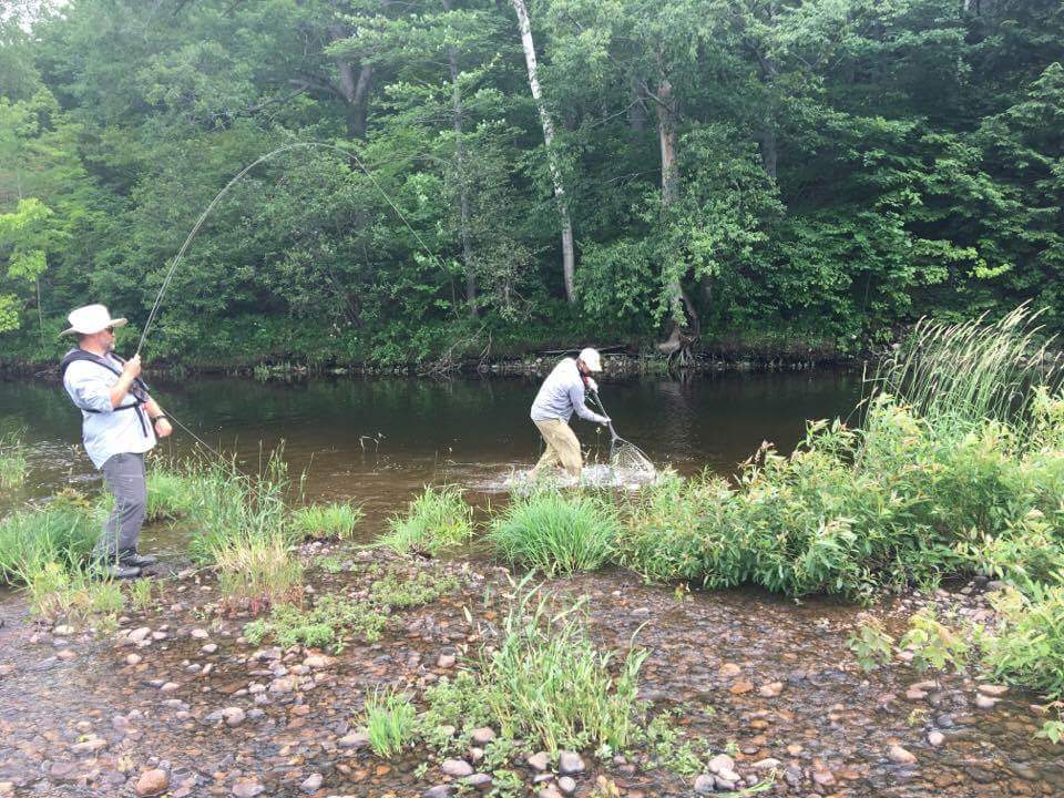 Netting an Androscoggin River brook Trout.