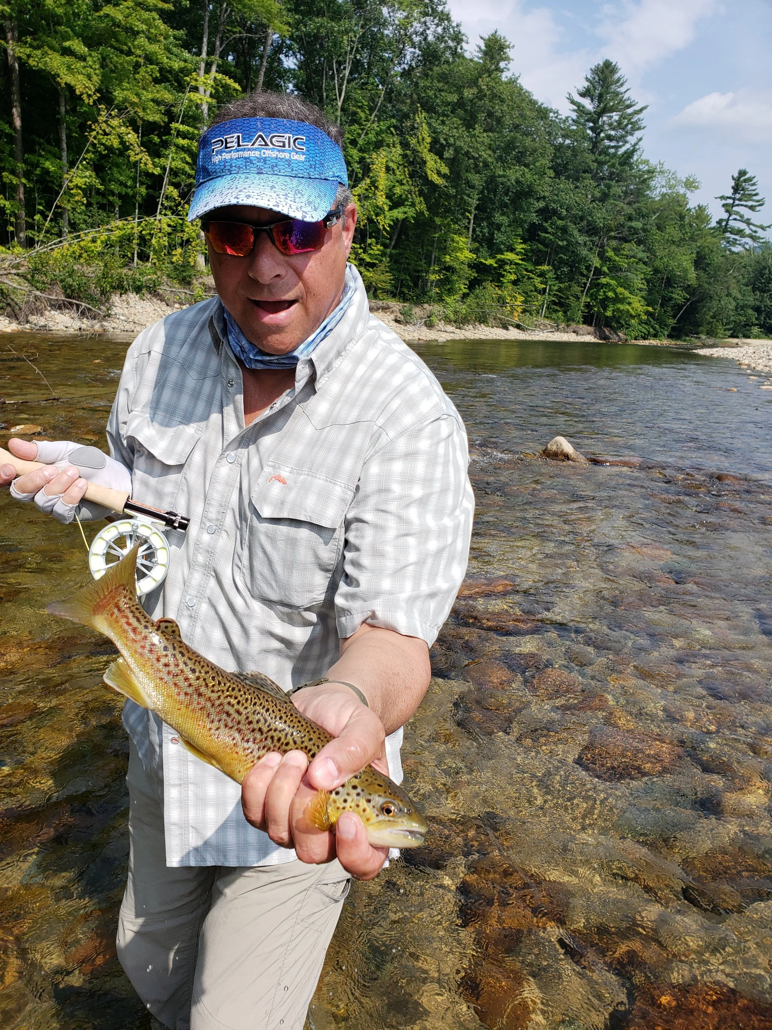 Client Mark with a frisky brown that slow rolled his way into engulfing a size 16 cinnamon ant. 