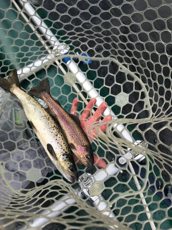 One of seven doubles to the net from Sunday August 18th.
