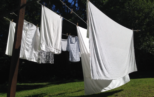 Morning Clothesline Reverie - September 29th, 2014