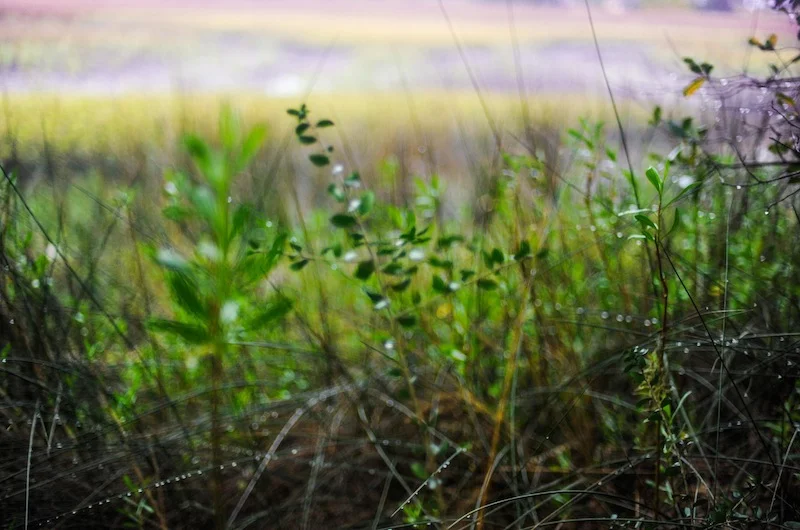 Spring: Constantly in motion