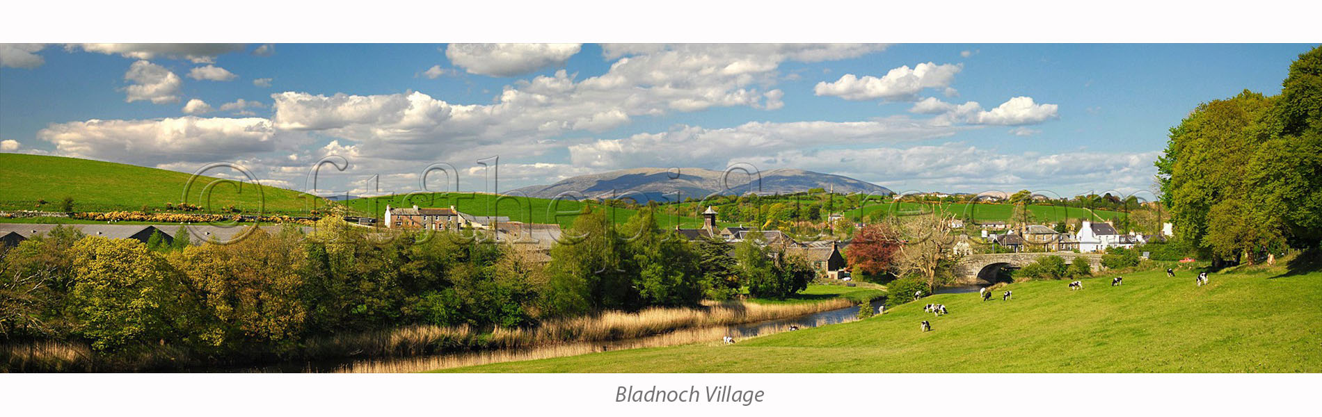 bladnoch.jpg