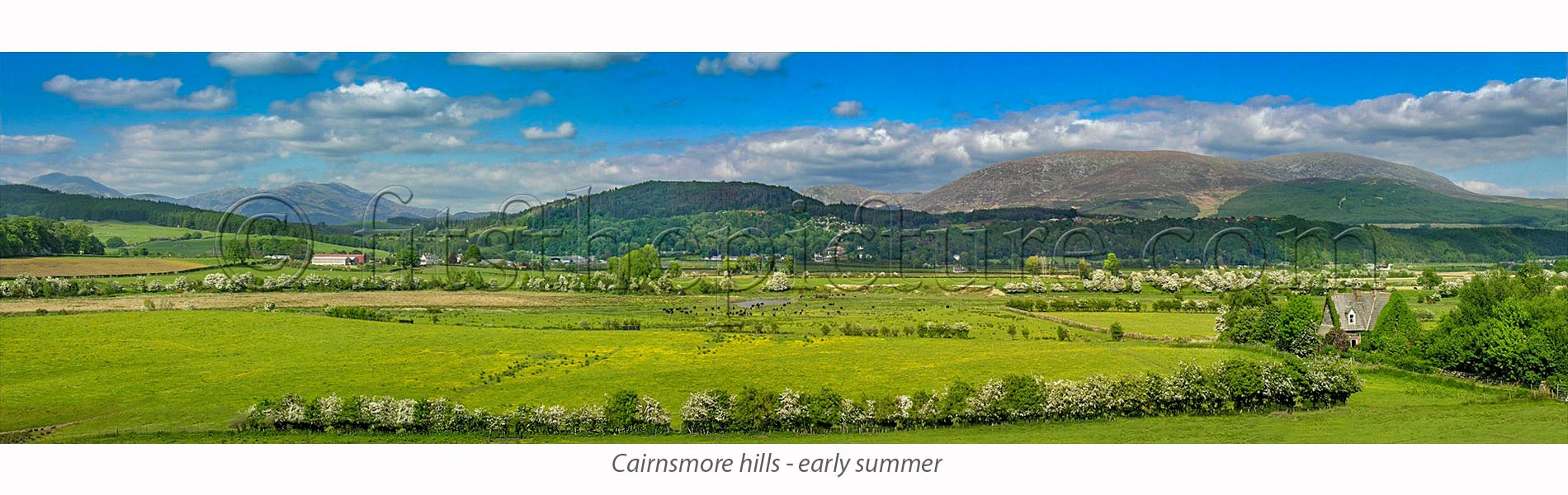 cairnsmore_hills__early_summer.jpg