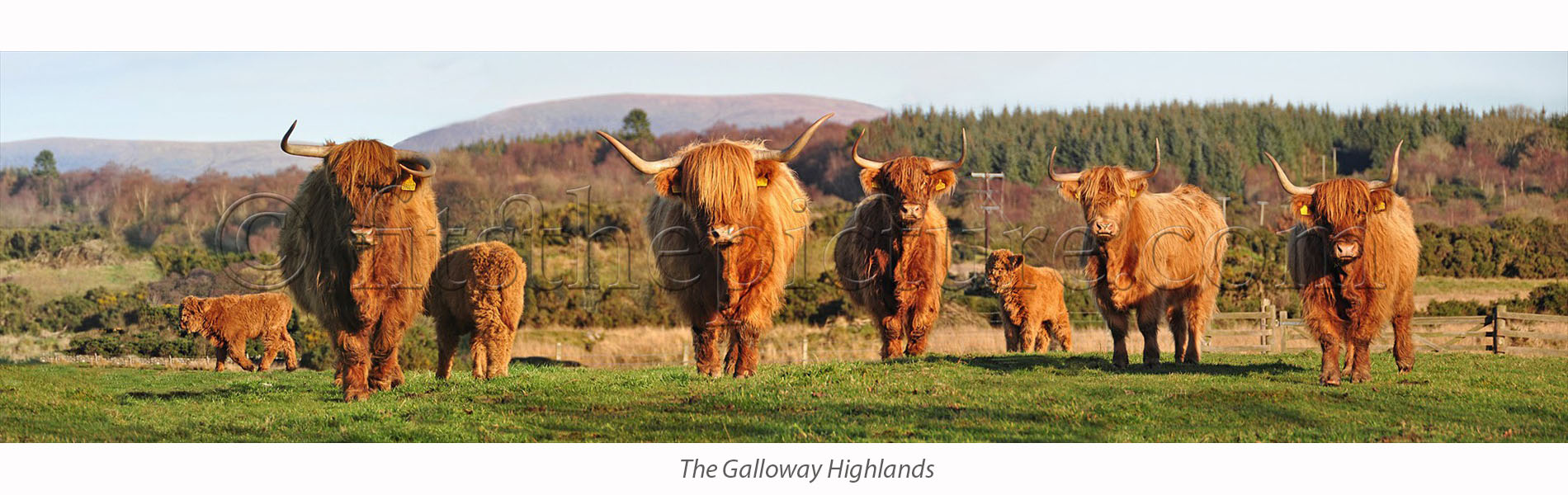 the_galloway_highlands.jpg