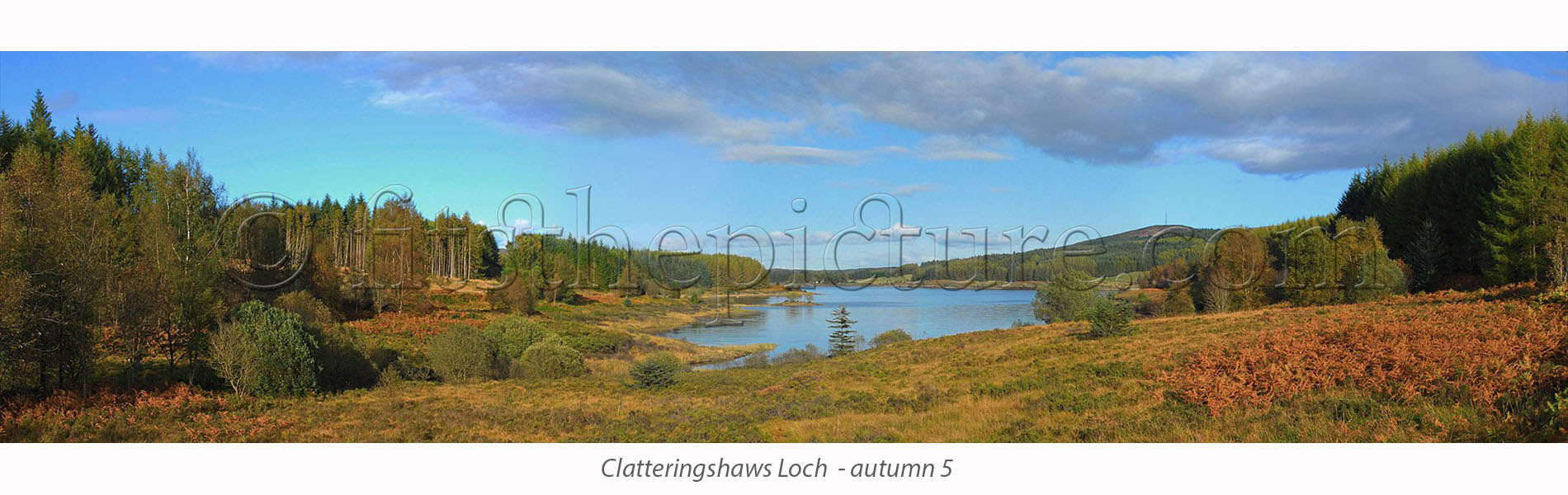 clatteringshaws_autumn_5.jpg