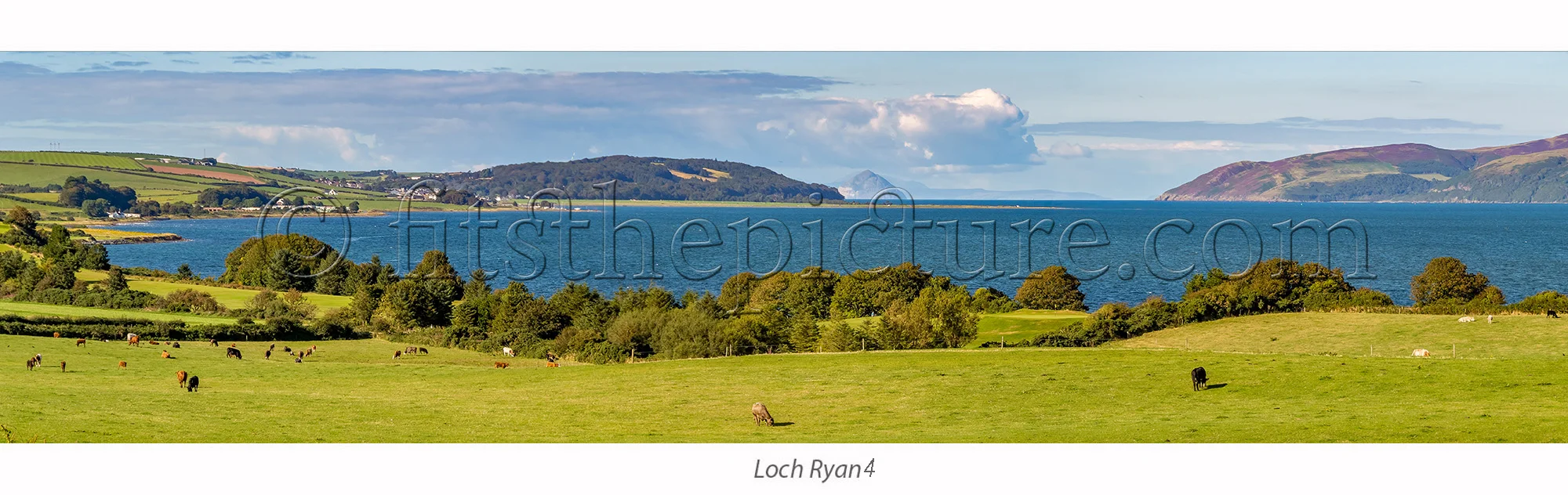 loch_ryan_4.jpg