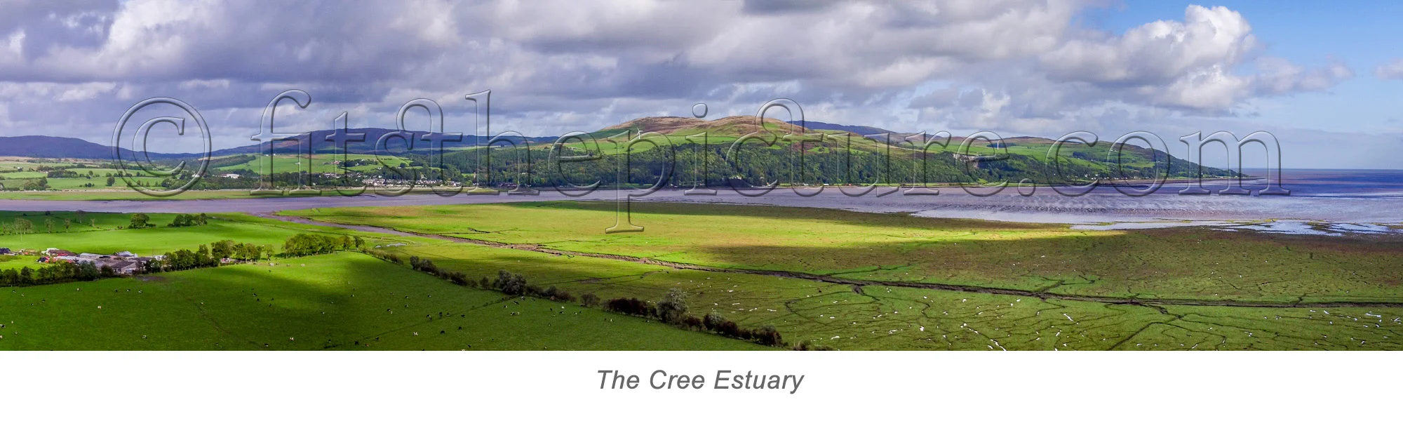 estuary 1.jpg