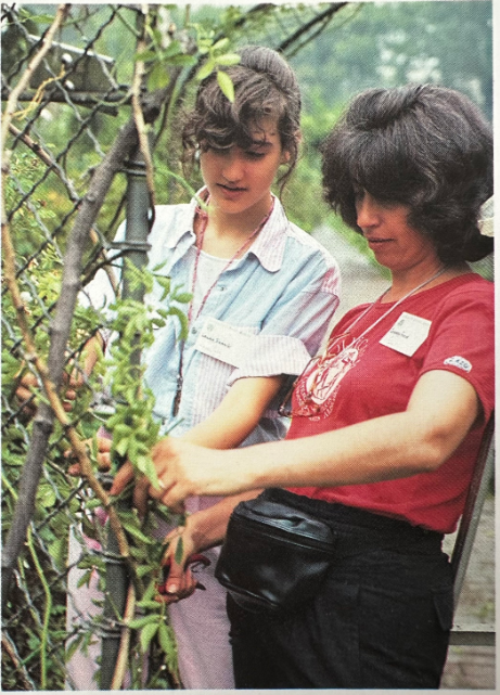 Screenshot 2025-04-13 134925.png